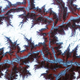 Illustration for article titled The 100 Most Astonishing Images of 2012